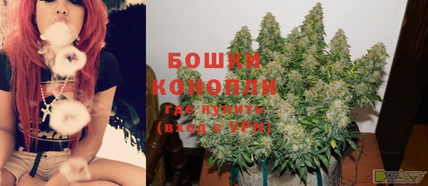 ГАЛЛЮЦИНОГЕННЫЕ ГРИБЫ Алексеевка