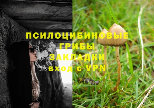 каннабис Алексин
