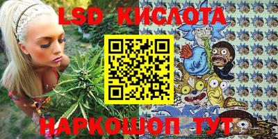 2c-b Бийск