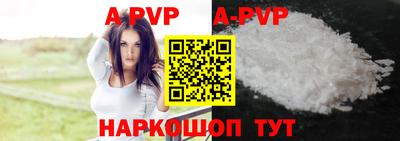 гашик Берёзовский