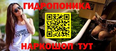 гашик Берёзовский
