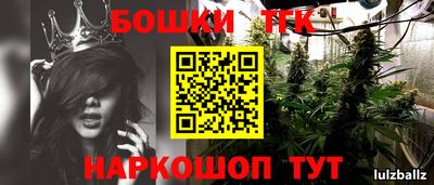 гашик Берёзовский