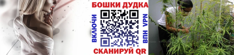 blacksprut вход  Беслан  Бошки марихуана конопля 